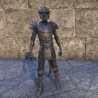 ON-costume-Lion Guard Knight (Male).jpg