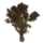 ON-icon-furnishing-Tree, Blooming Crabapple.png