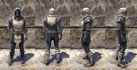 ON-item-armor-Steadfast Society Heavy Male.jpg