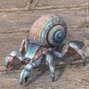 ON-pet-Iliac Bay Hermit Crab.jpg