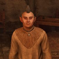 OBR-npc-Baeralorn 02.jpg