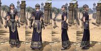 ON-item-armor-Nord Light Robe 4 Female.jpg