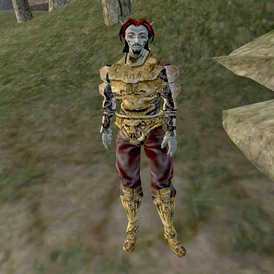 Morrowind:Nels Llendo (person) - The Unofficial Elder Scrolls Pages (UESP)