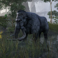 ON-creature-Mammoth 02.jpg