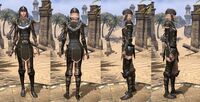 ON-item-armor-Breton Medium 3 Female.jpg