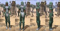 ON-item-armor-Homespun-Jerkin-Redguard-Female.jpg