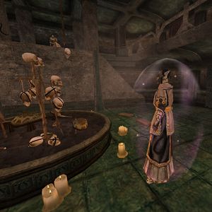 Tamriel Rebuilt:Indoril Danvas - The Unofficial Elder Scrolls Pages (UESP)