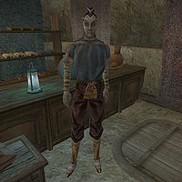 Online:General Mandin - The Unofficial Elder Scrolls Pages (UESP)