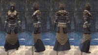 ON-item-armor-Icereach Coven Light (Robes) 02.jpg