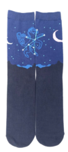 MER-clothing-Loot Crate Sign of the Steed Socks.png
