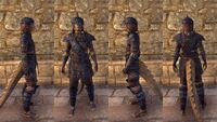 ON-item-armor-Argonian Medium 3 Male.jpg