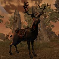 ON-mount-Great Dark Stag.jpg