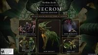 ON-prelease-Necrom Deluxe Edition Rewards.jpg