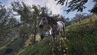 OBR-creature-Unicorn.jpg