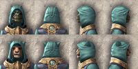 ON-item-armor-Arkthzand Armory Light Beast Races.jpg