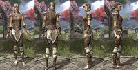 ON-item-armor-Rawhide-Altmer-Female.jpg