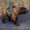 ON-mount-Sunback Bear.jpg