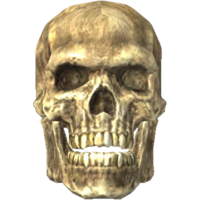 SR-icon-misc-Skull.png