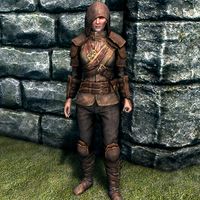 SR-item-Thieves Guild Armor Female.jpg