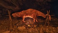 OBR-flora-Roasted Rat.jpg