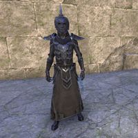Ordinator Night-Raid Armor (male)