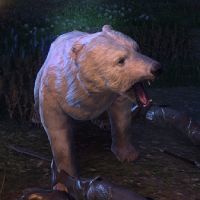 ON-creature-Scrag's Bear.jpg