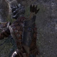 ON-item-weapon-Argonian Quiver 5.jpg