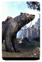 ON-card-Dragontail Mountain Bear.png