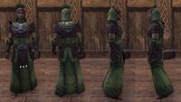 ON-item-armor-Ivory Brigade Light (Robe) Male.jpg