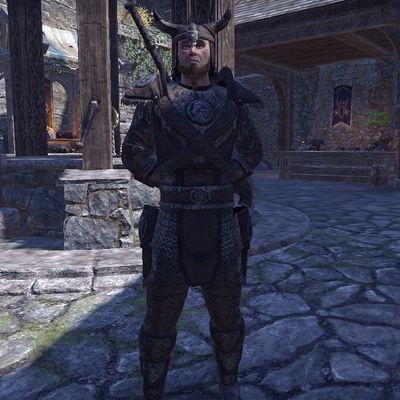 Online:Skyrim Guard - The Unofficial Elder Scrolls Pages (UESP)