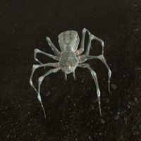 SR-creature-Albino Spider.jpg