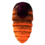 SR-icon-ingredient-Bliss Bug Thorax.png