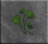 DF-icon-ingredient-Ginko leaves.png