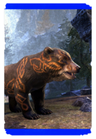 ON-card-Keptu Bear Cub.png
