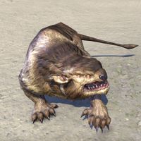 ON-creature-Welwa 03.jpg