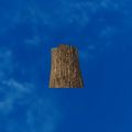 Thumbnail for version as of 01:35, 22 April 2025