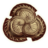 OBR-icon-armor-DwarvenShield.png