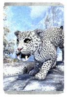 ON-card-Sabre Leopard Cub.png