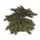 ON-icon-furnishing-Bush, Green Forest.png