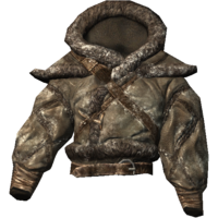 SR-icon-armor-Skaal Coat.png