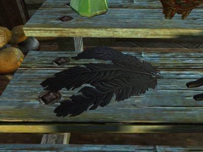 Skyrim Hagraven Feathers The Unofficial Elder Scrolls Pages UESP   400px SR Ingredient Hagraven Feathers 