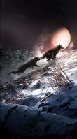 LG-cardart-Pack Wolf.png