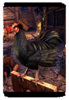 ON-card-Daemon Chicken.png