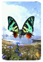 ON-card-Evermore Painter's Moth.png