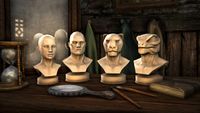 ON-crown store-Werewolf Claw Face Scars.jpg