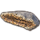 ON-icon-furnishing-Geode, Citrine.png