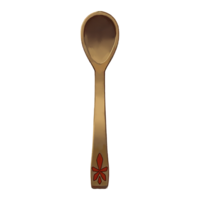 CT-equipment-Wooden Spoon.png