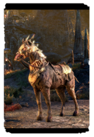 ON-card-Cursebound Horse.png