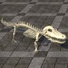 ON-furnishing-Crocodile Skeleton, Complete.jpg