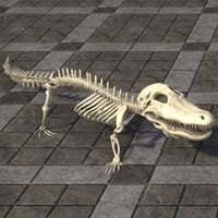 ON-furnishing-Crocodile Skeleton, Complete.jpg